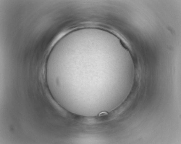 X0000115600911200911241552