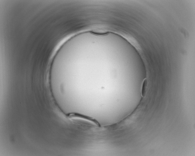 X0000115600912200911241552