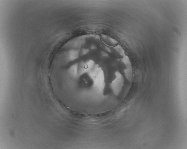 X0000115600913200911241551