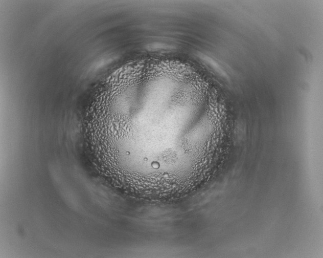 X0000115600917200911241552