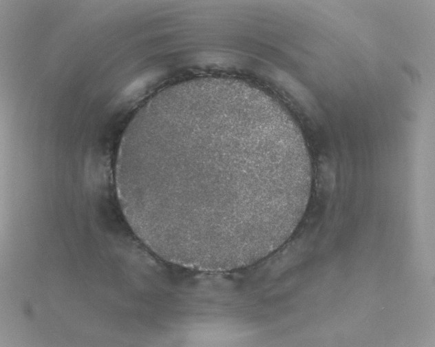 X0000115600918200911241552