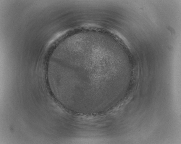 X0000115600919200911241552