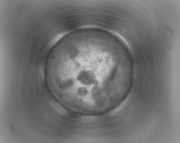 X0000115600921200911241552