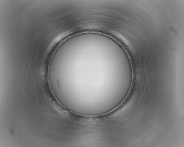 X0000115600922200911241552