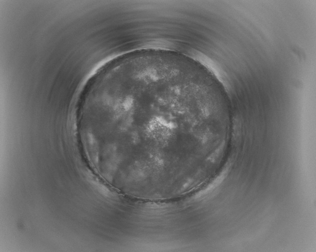 X0000115600923200911241552