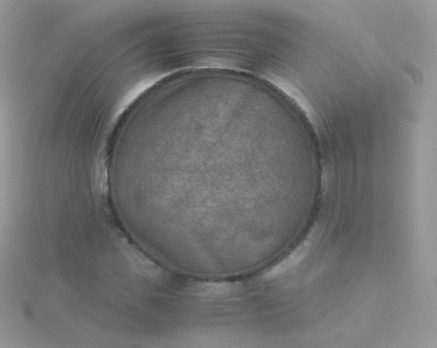 X0000115600925200911241552