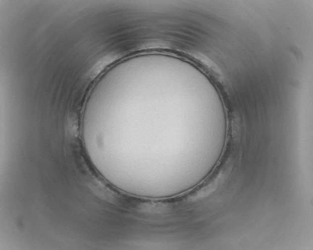 X0000115600929200911241552