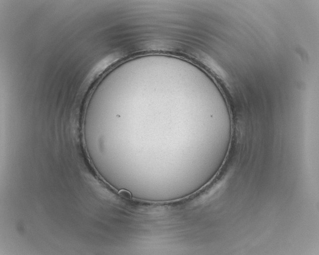 X0000115600930200911241552