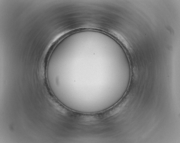 X0000115600931200911241552