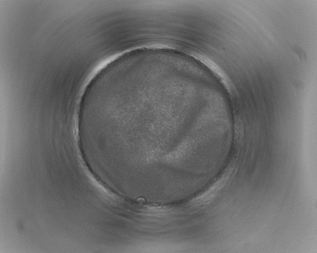 X0000115600935200911241552