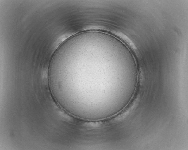 X0000115600937200911241552