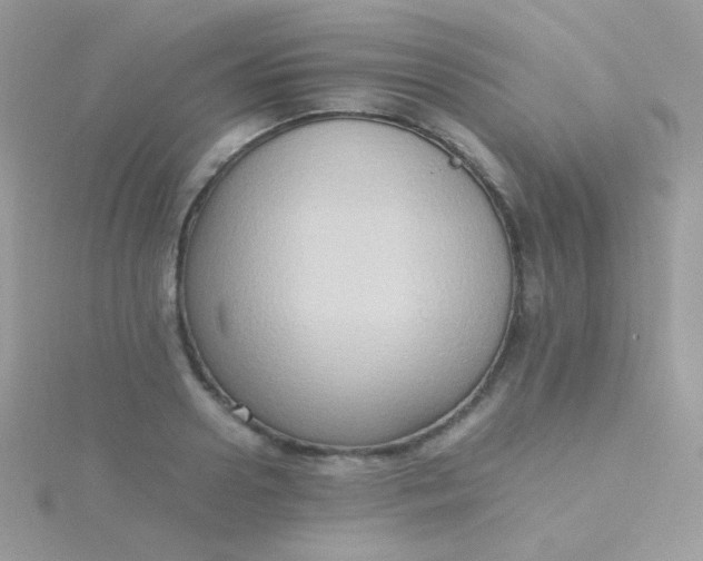 X0000115600938200911241552