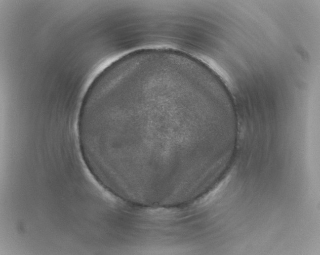 X0000115600943200911241552