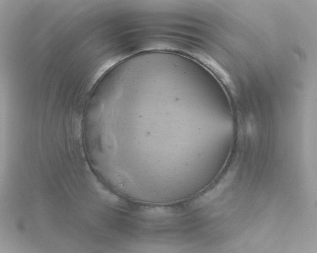 X0000115600945200911241552