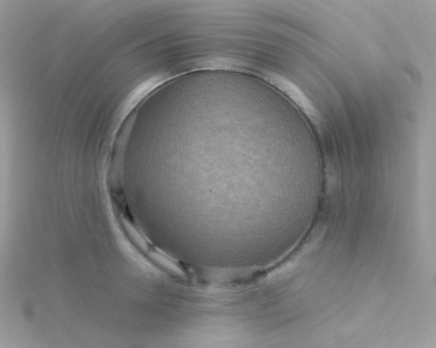 X0000115600946200911241552