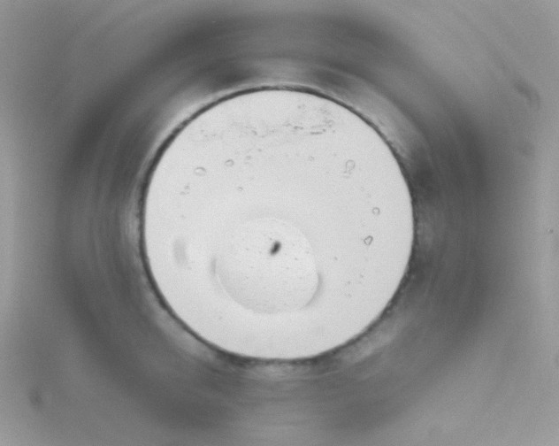 X0000115600950200911241552