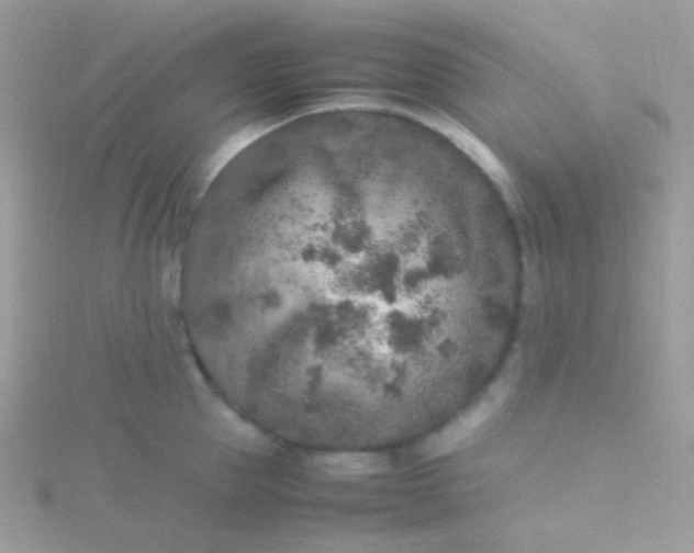 X0000115600953200911241552