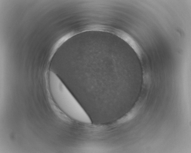 X0000115600954200911241552