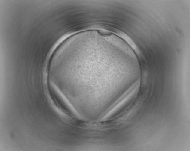 X0000115600955200911241552