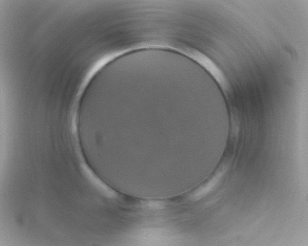 X0000115600958200911241552