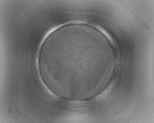 X0000115600959200911241552