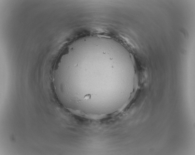 X0000115600961200911241551