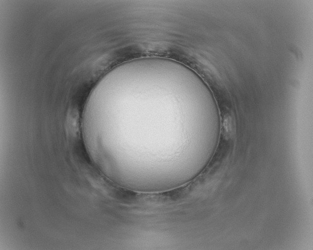 X0000115600963200911241551