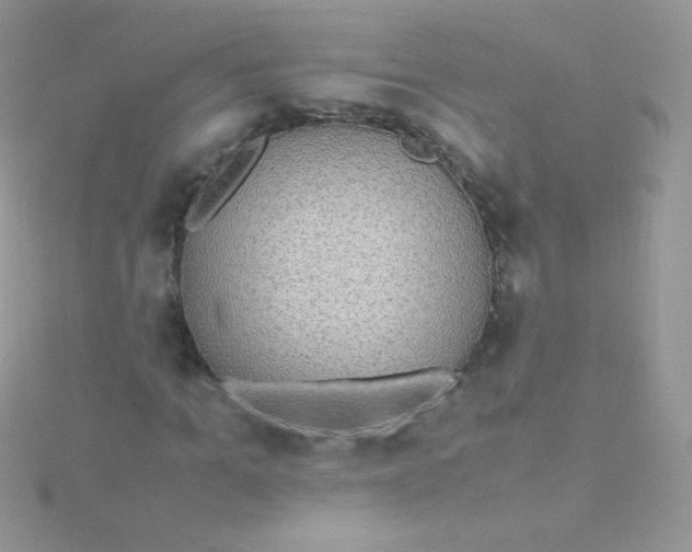 X0000115600965200911241551