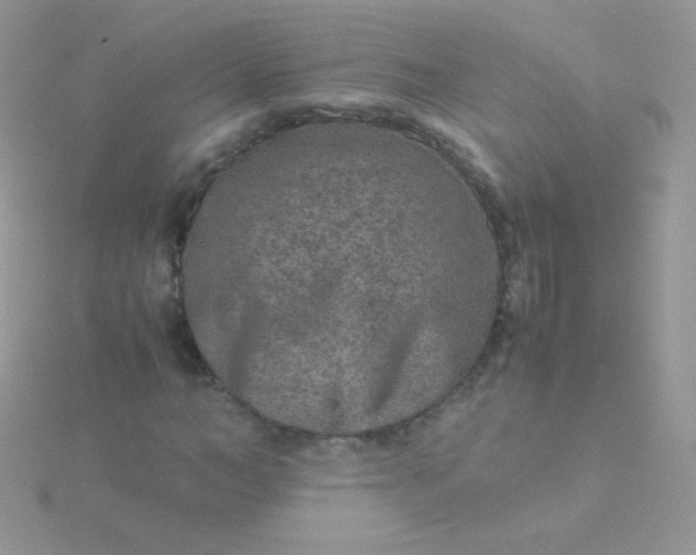 X0000115600966200911241551