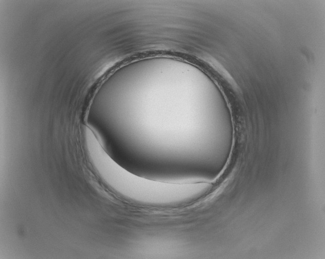 X0000115600969200911241551