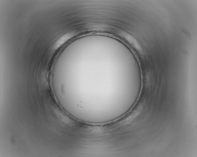 X0000115600970200911241551