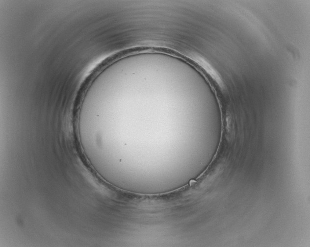 X0000115600972200911241551