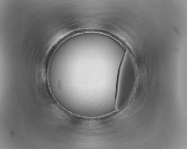 X0000115600973200911241551