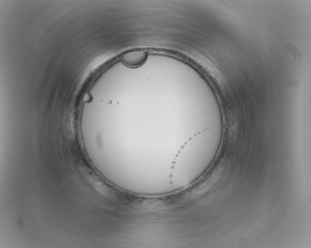 X0000115600974200911241551