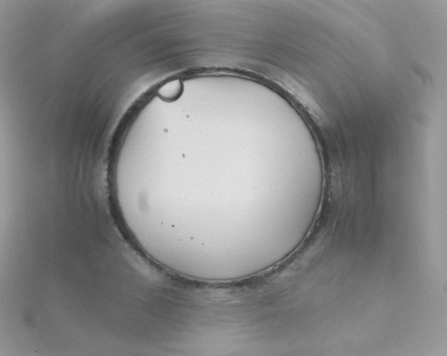 X0000115600976200911241551