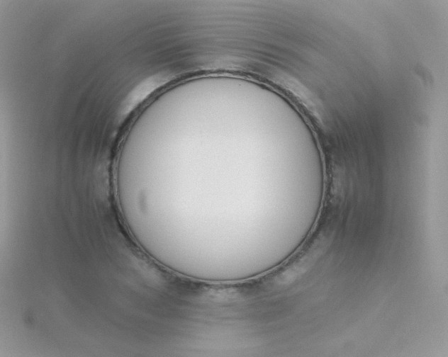 X0000115600978200911241551