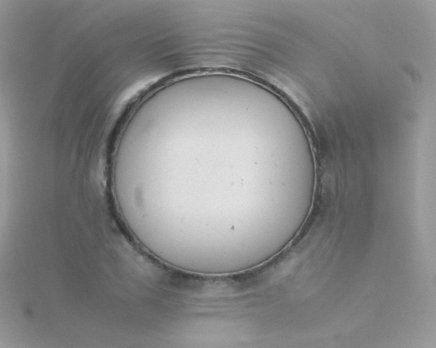 X0000115600979200911241551