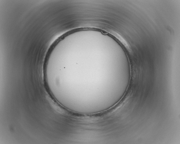 X0000115600980200911241551