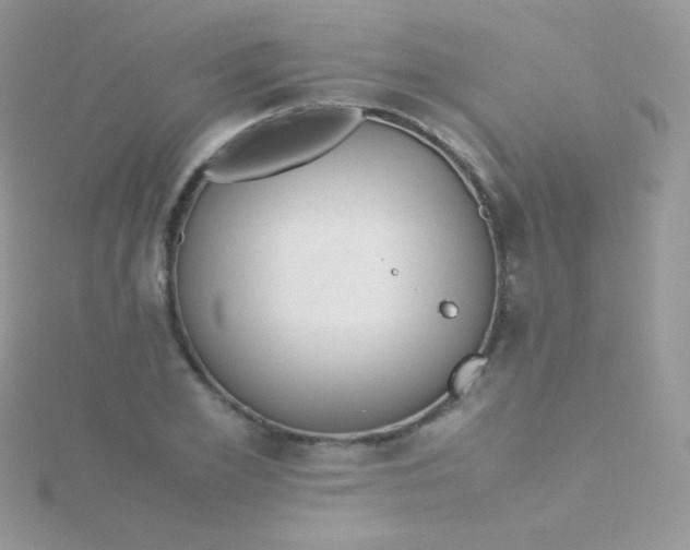 X0000115600981200911241551