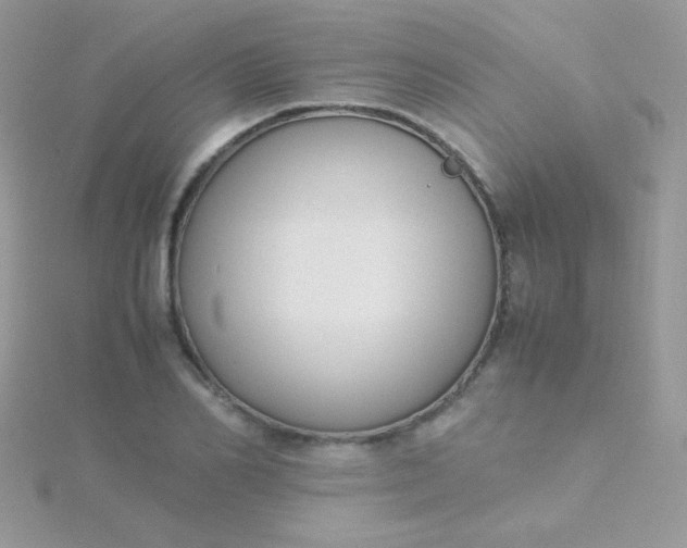 X0000115600982200911241551