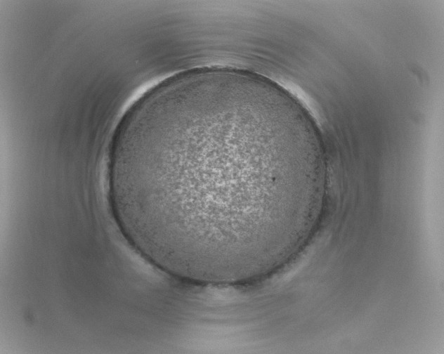 X0000115600983200911241551