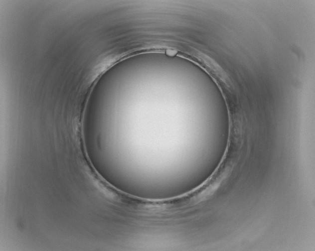 X0000115600985200911241551