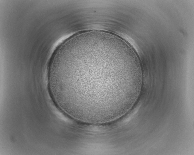 X0000115600987200911241551