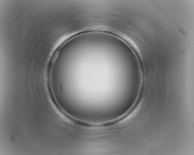 X0000115600989200911241551