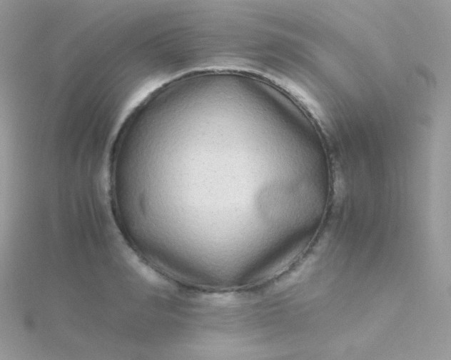 X0000115600990200911241551