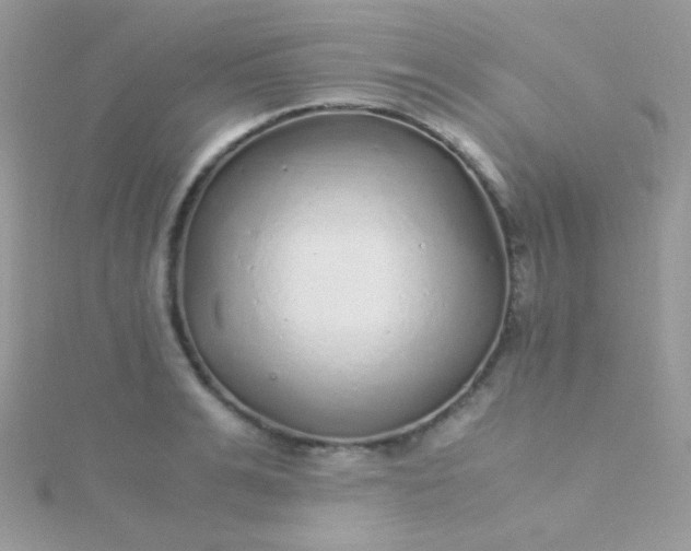 X0000115600991200911241551