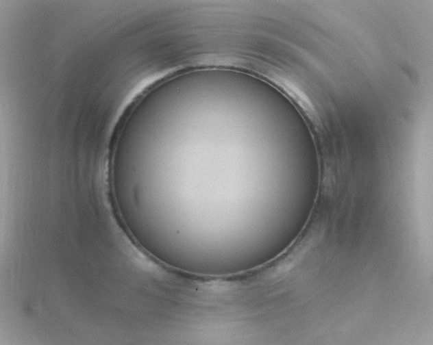 X0000115600992200911241551