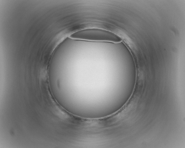 X0000115600993200911241551