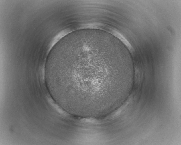 X0000115600994200911241551