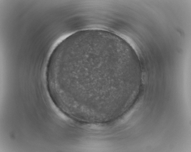 X0000115600995200911241551